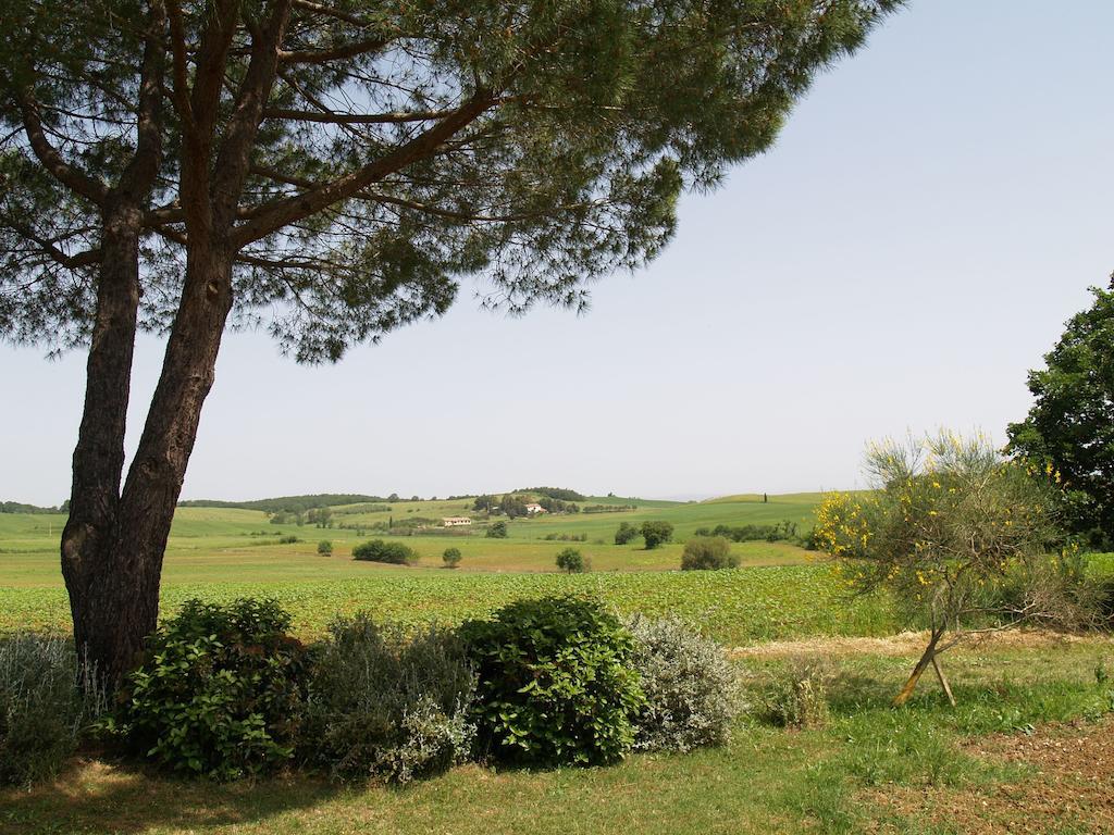 마글리아노 인 토스카나 Agriturismo Poggio Sassineri 빌라 외부 사진